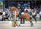 Pferd International 076